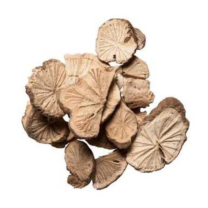 

Fang Ji Fen Stephania Root 100 gram