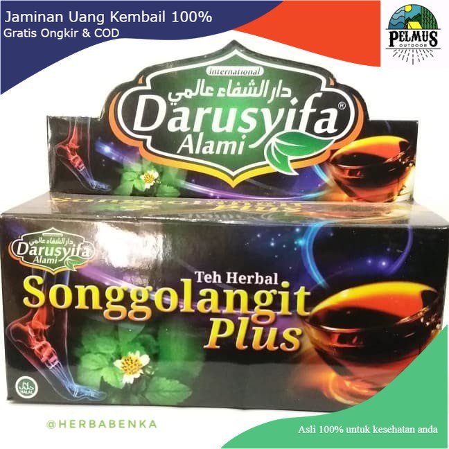 

Teh Celup Songgolangit Darusyifa untuk Asam Urat dan Rematik