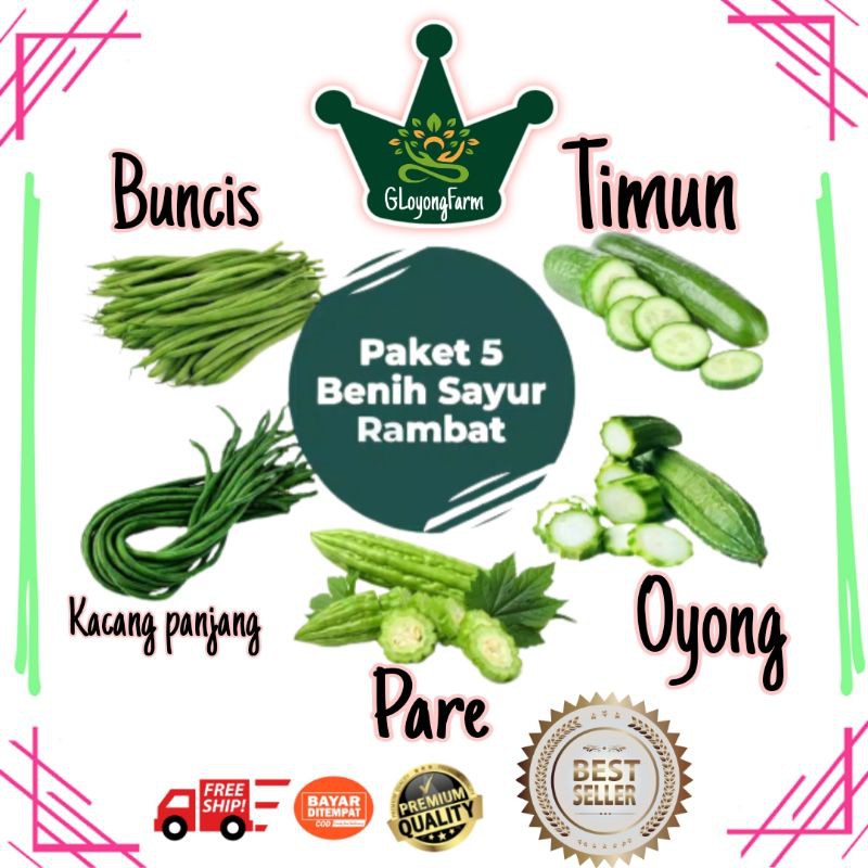 Paket Benih Sayuran Rambat Bibit Sayur Buncis Kacang Panjang Pare Oyong Timun Lalap