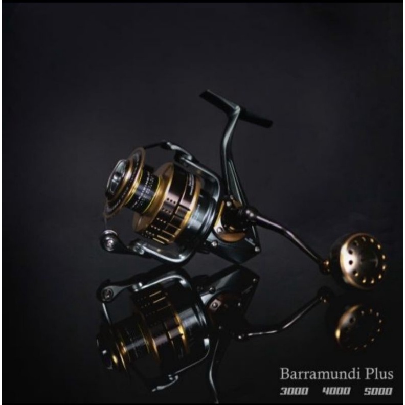 Reel Ajiking Barramundi Plus 11+1BB 5000