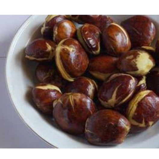 

Jengkol Tua 100gr - 500gr / Jengkol Super / Jengkol