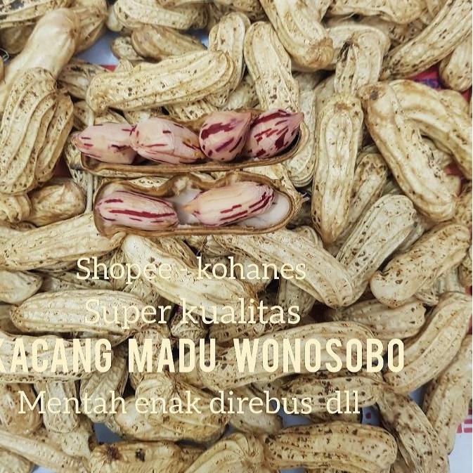

Star KACANG TANAH MADU MENTAH FRESH ( READY STOCK ) LUAR KOTA - JABODETABEK