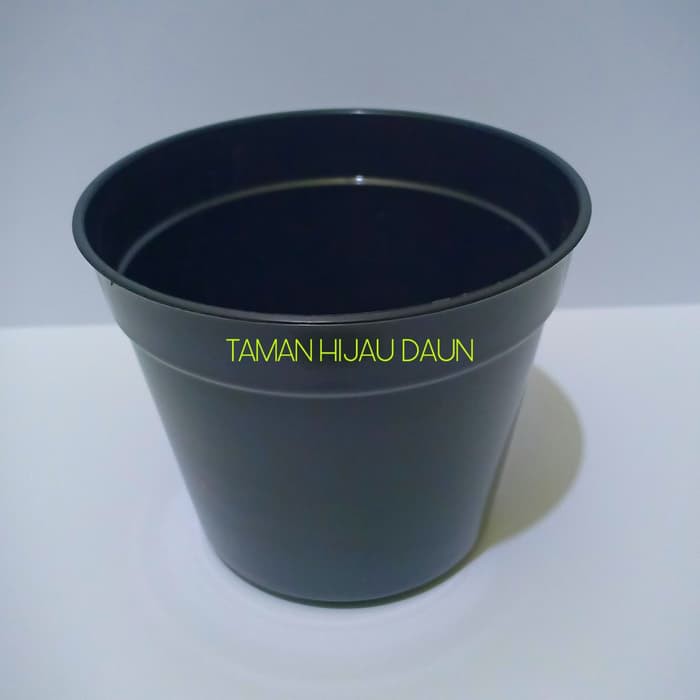 Jual  Pot Kecil Untuk Semai Benih Bibit Tanaman Harga Grosir ⠀⠀⠀⠀⠀⠀⠀⠀⠀⠀⠀⠀