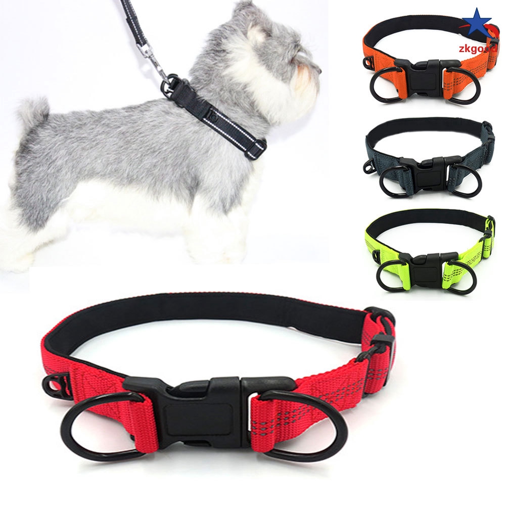 dog collars for dogs