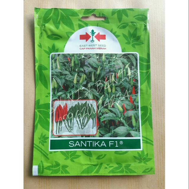 Benih Cabe Rawit Hijau SANTIKA F1