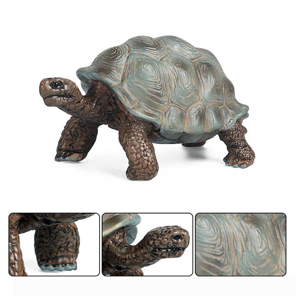 R-flower Mainan Edukasi Bentuk Kurakura Untuk Anak-Anak