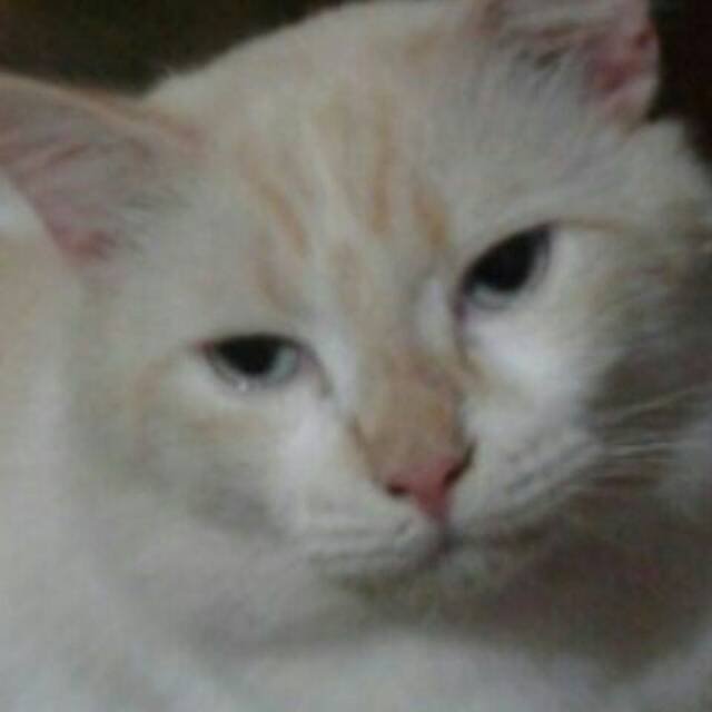 rahimahdimassandiago