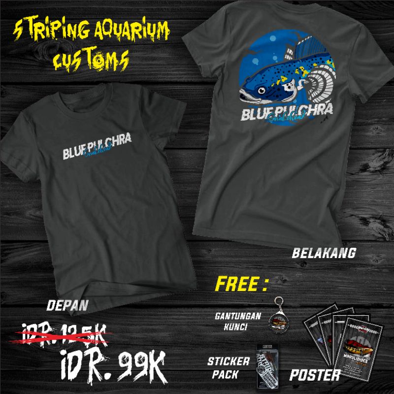 Kaos | Channa Pulchra volt 2