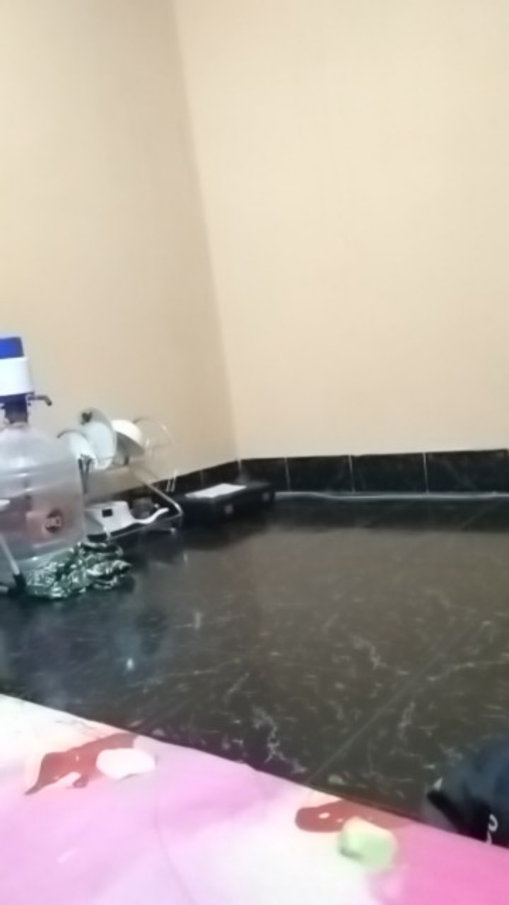 Kompor Portable Gas Niko 268/kompor Portable Nikita (free Packing Dos+buble)