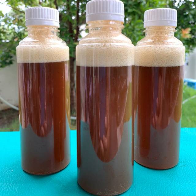 

Madu Trigona Khatulistiwa, Madu Klanceng Palu