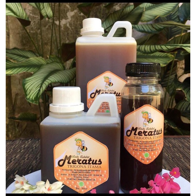 

madu kelulut meratus