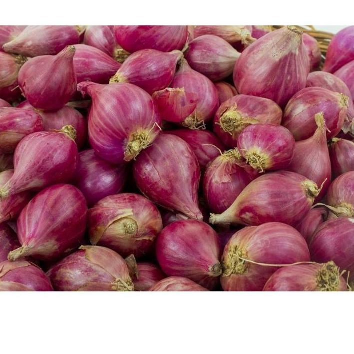 

☜ Bawang Brambang Merah Brebes 500 gram 1Kg 1 Kilogram Super Gede Besar Sedang 500 gr Termurah た