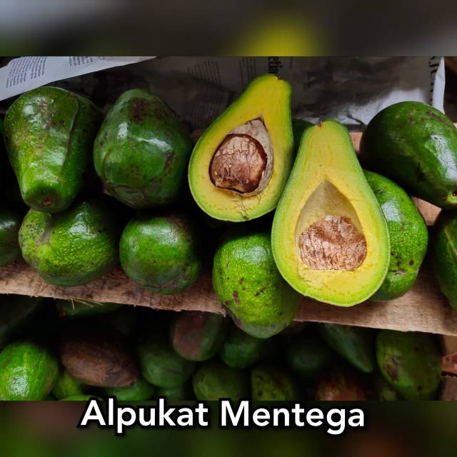 

Alpukat Mentega
