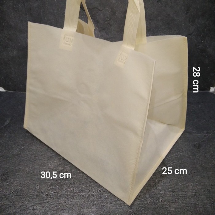

✨ BISA COD ✨ Tas Kain Polos 25x30 / 12 pcs / Spunbond Dus Roti Donat