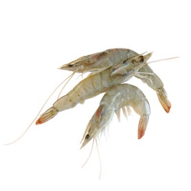 

Udang Segar Kemasan 250 gram