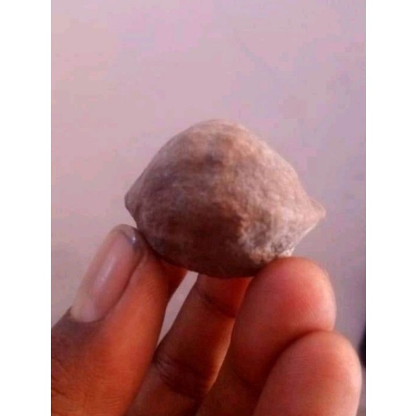 

buah kemiri abar simayit
