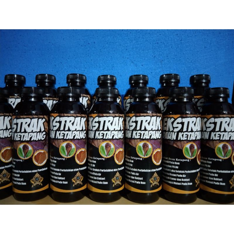 

EKSTRAK DAUN KETAPANG