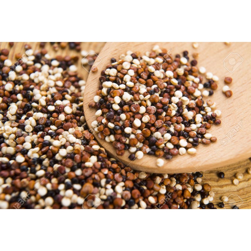 

Organic Tri Color Quinoa 500 gram (1/2kg)