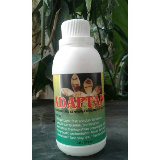 Adaptan 250ml/vitamin B1