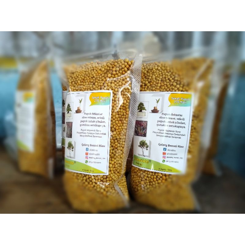 Dekastar / Osmocote 17-11-10 (500 gr)