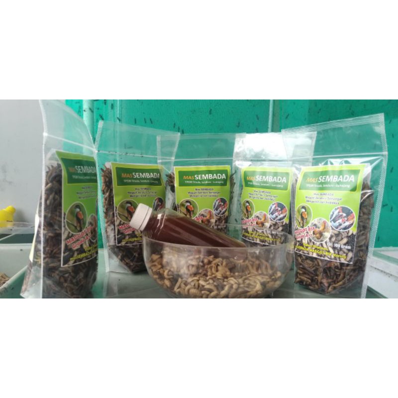 Maggot BSF Kering 100gram