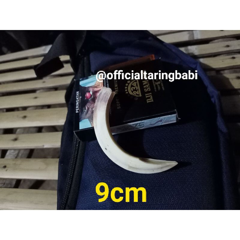 9cm Original Taring Babi Officialtaringbabi