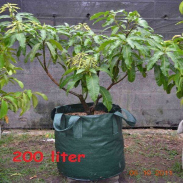 Planter Bag Hijau Polibag Pot Planterbag Tanaman Jumbo 200 L Easy Grow