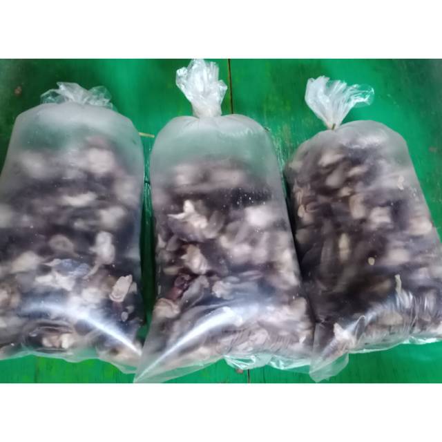 

Daging bekicot fresh
