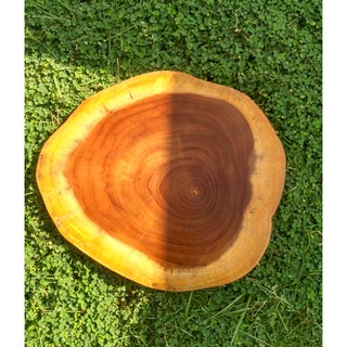 Teak wood 24 25 cm slice log potongan kayu  jati dekorasi 