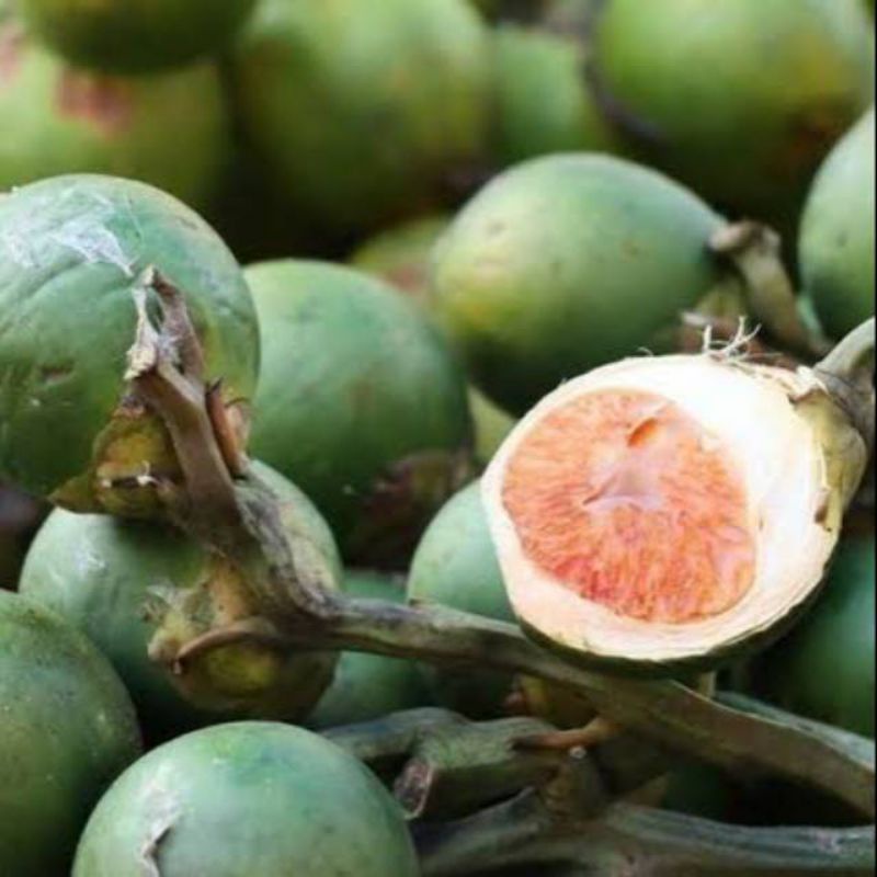 

BUAH PINANG JAMBE MUDA FRESH LANGSUNG PETIK 1KG