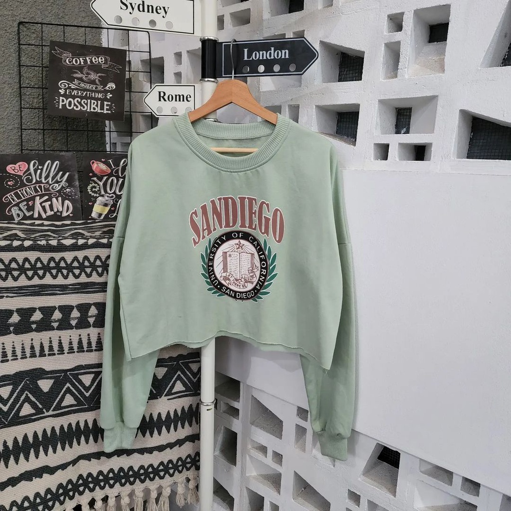 Sweater Crop Wanita Sandiego Bahan Pleece Korean Style