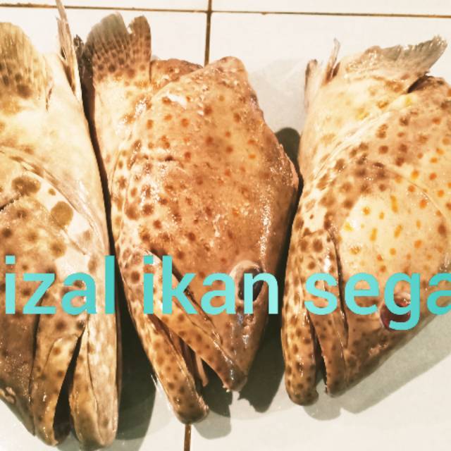 

Kepala ikan krapu segar