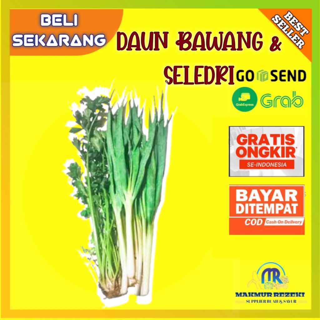 

DAUN BAWANG SELDRI 1PAKET