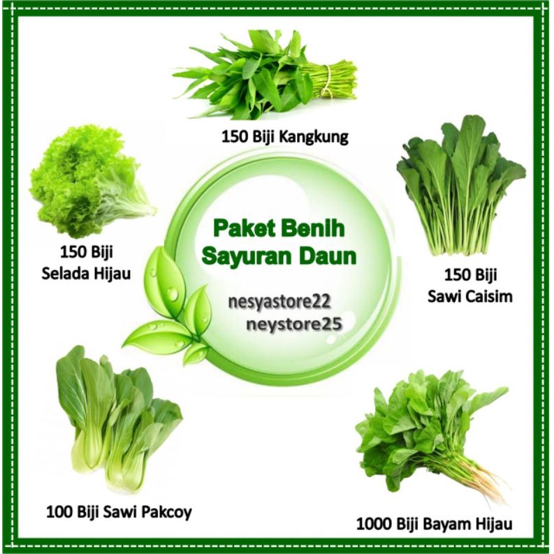 Paket Benih Bibit Sayur Sayuran Daun Benih Kangkung Caisim Bayam Hijau Sawi Pakcoy Selada Hijau - Benih Sayur