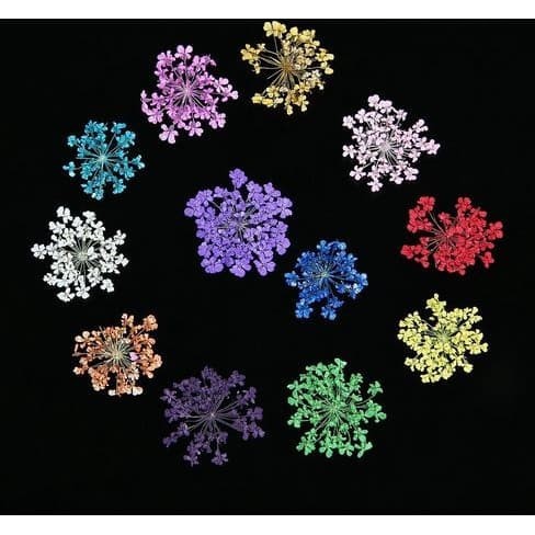 12 Color Natural Dried Flowers - Bunga Kering 12 Warna (12pcs/box)