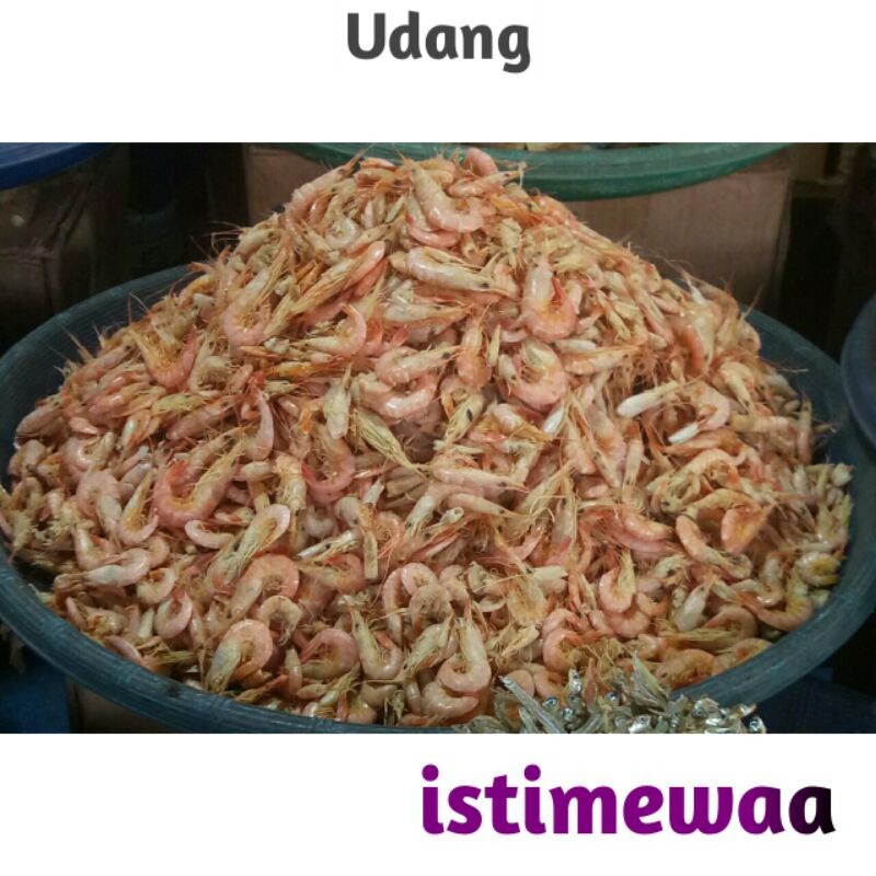 

Udang Kering Padang