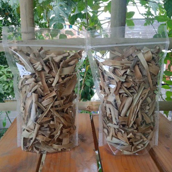 

Daun Karet Kebo Kering 25 gr Herbal u/ Stroke