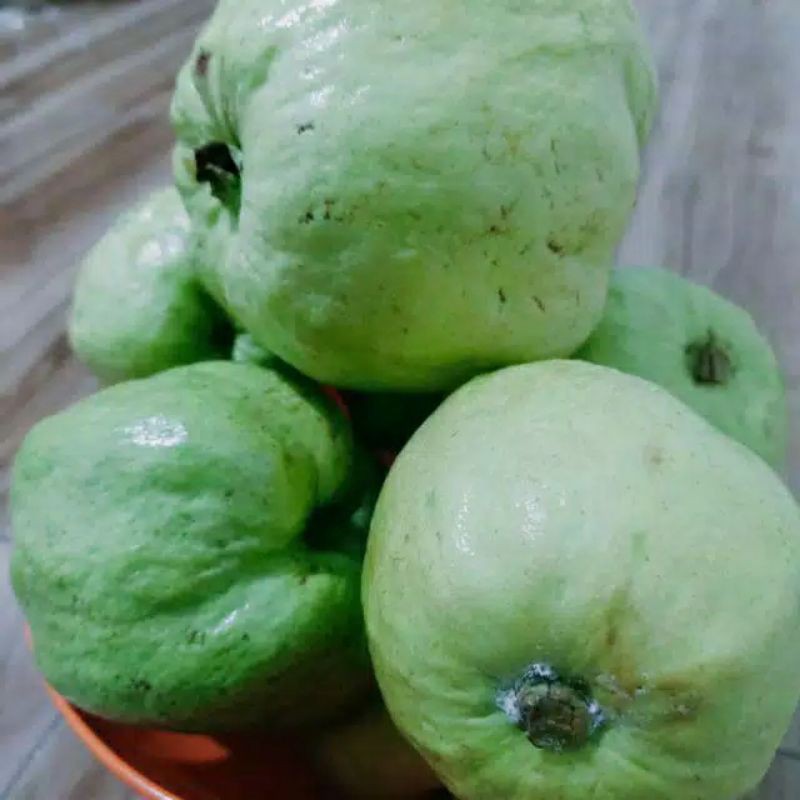 

JAMBU kRISTAL/JAMKRIS/buah
