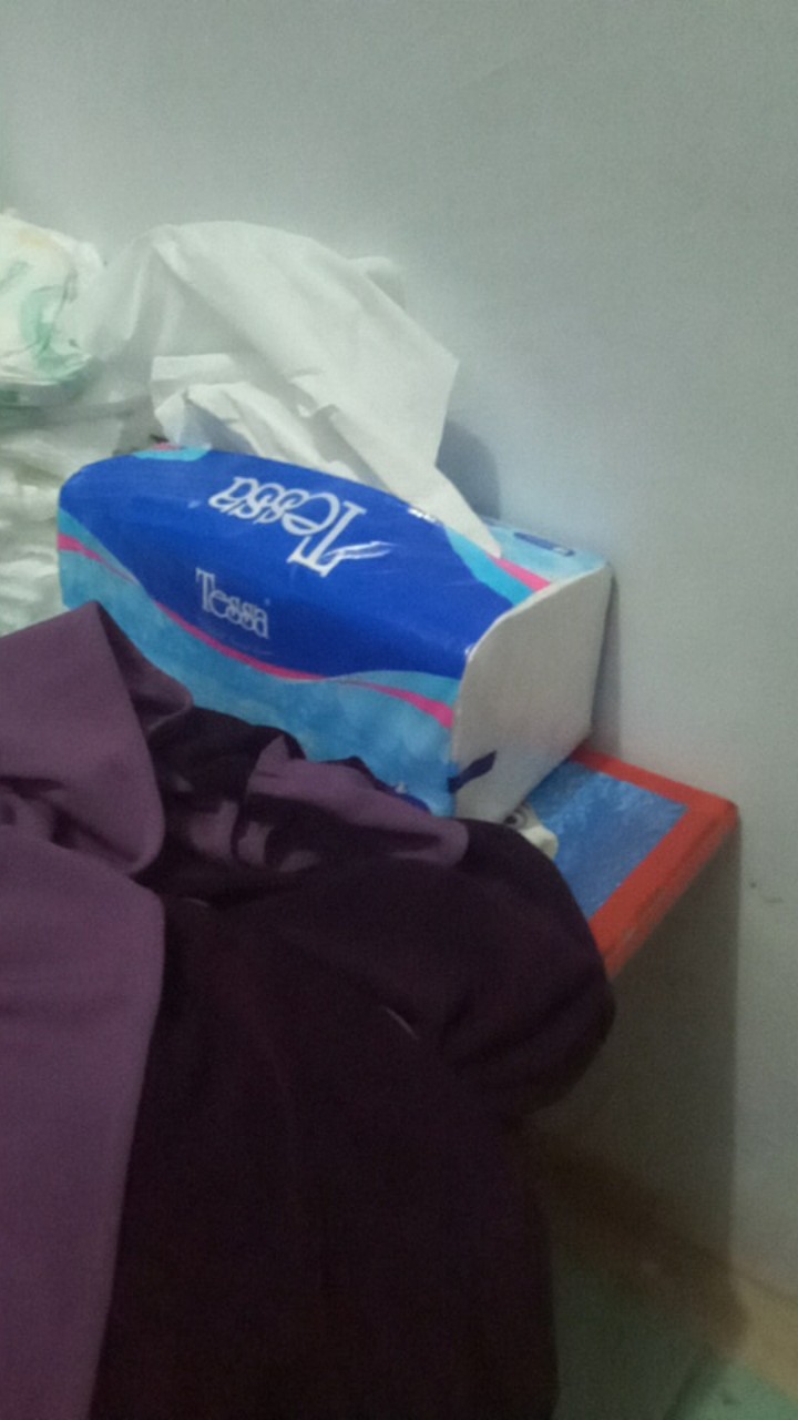 Tissue Tessa Natural Soft Tp-22 [250 Sheets 2 Ply] - 005228