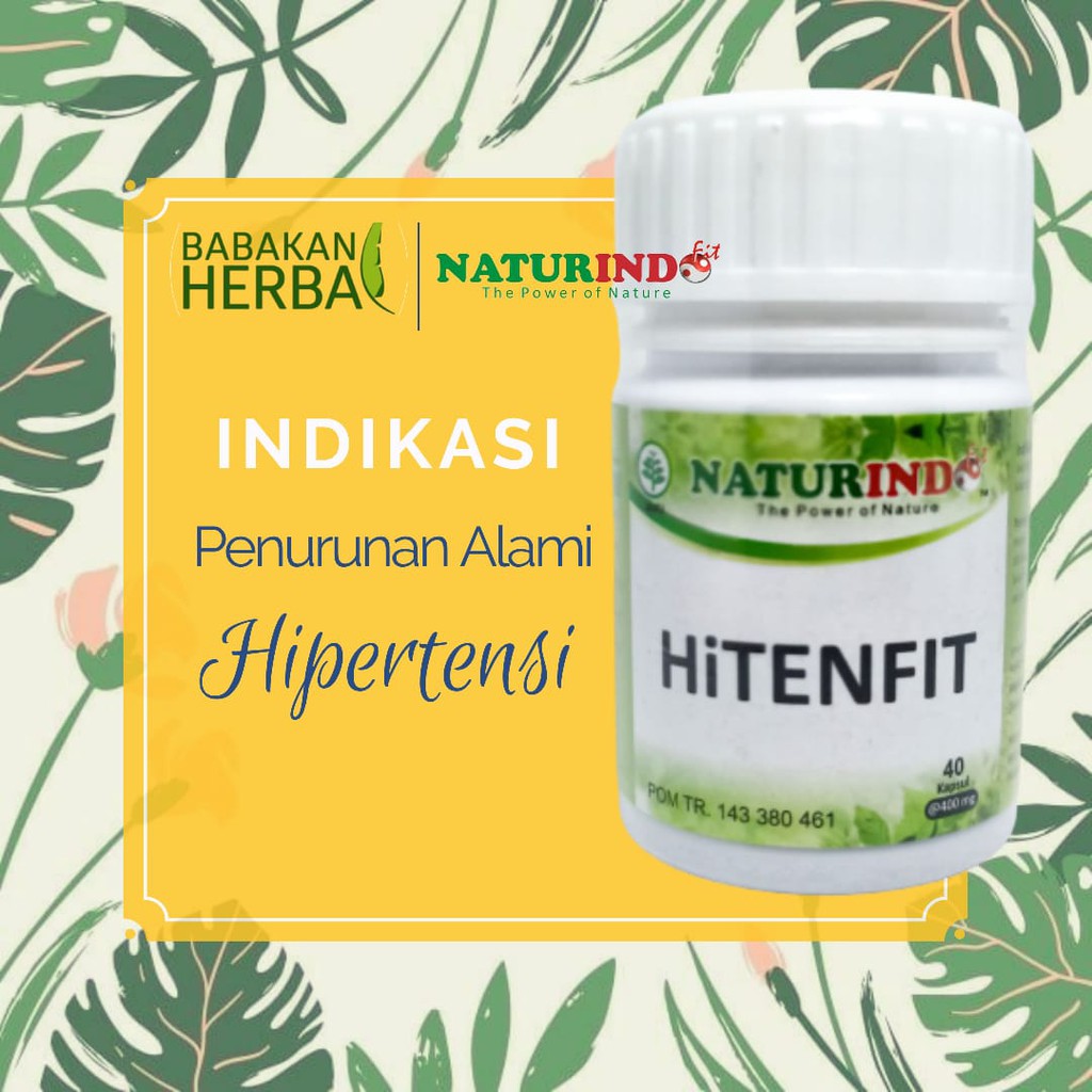 

Obat Herbal Naturindo HiTENFIT Obat Menurunkan Hipertensi Tekanan Darah Tinggi