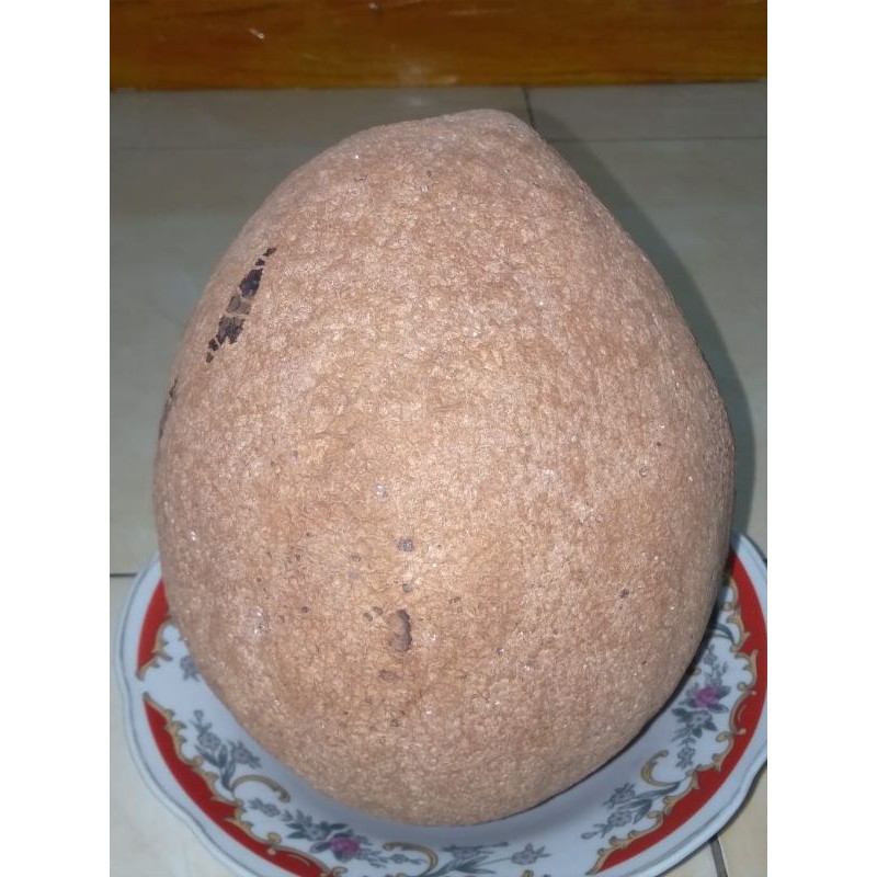 

fruit mamey sapote magana