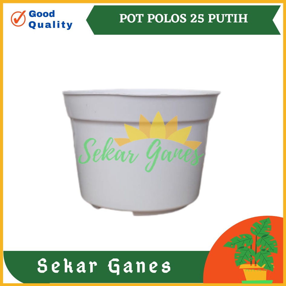 Pot 25 Putih Pot Basic Polos - Pot Tanaman Putih Polos Besar Pot 25 30 Cm Putih Lusinan Murah Grosir