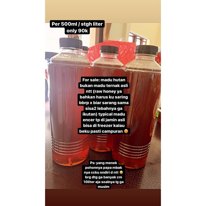 

madu hutan asli NTT