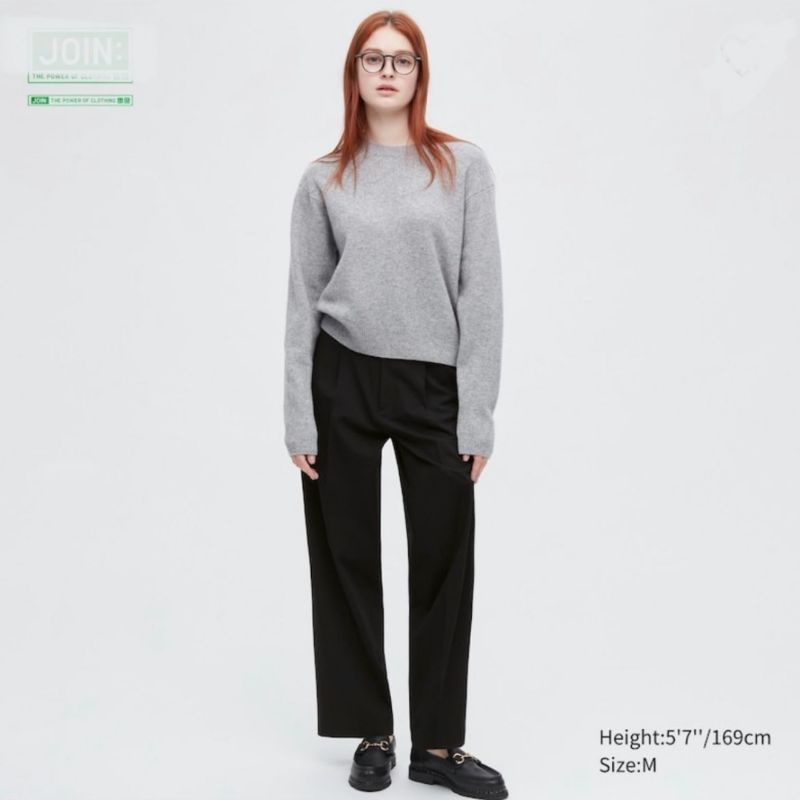 Uniqlo Pleated Wide Pants