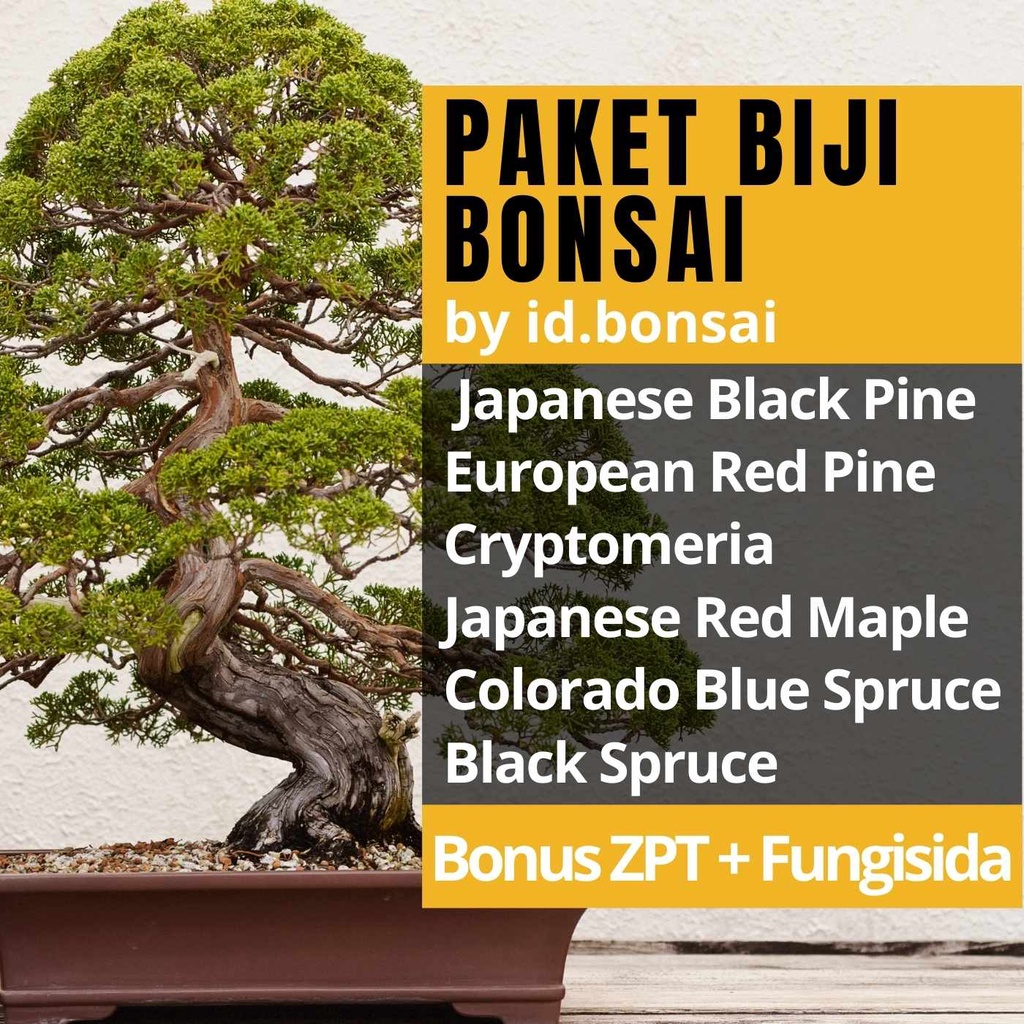 Paket Langka 6 Jenis Biji Import + ZPT  Fungisida Black Pine Red Pine Colorado Blue Spruce  Bonsai