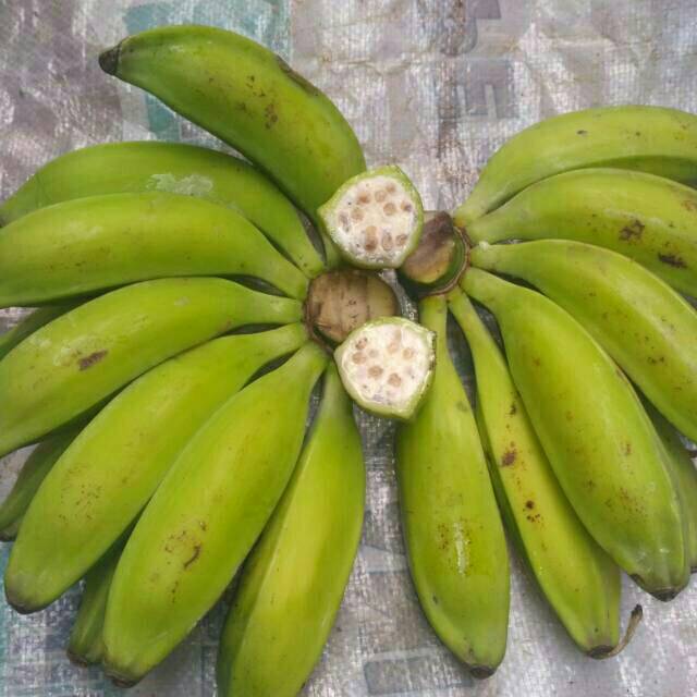 

PISANG BATU/PISANG KLUTUK (Muda/Tua) 1KG FRESH