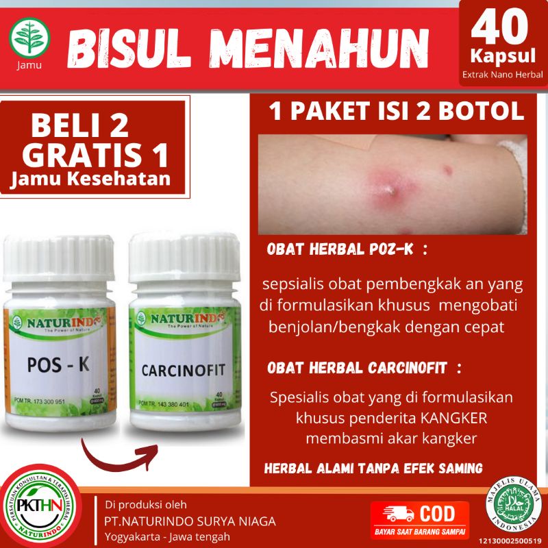 Obat bisul bernanah udun menahun bisul anak bisul di badan bernanah udun di pantat ampuh herbal