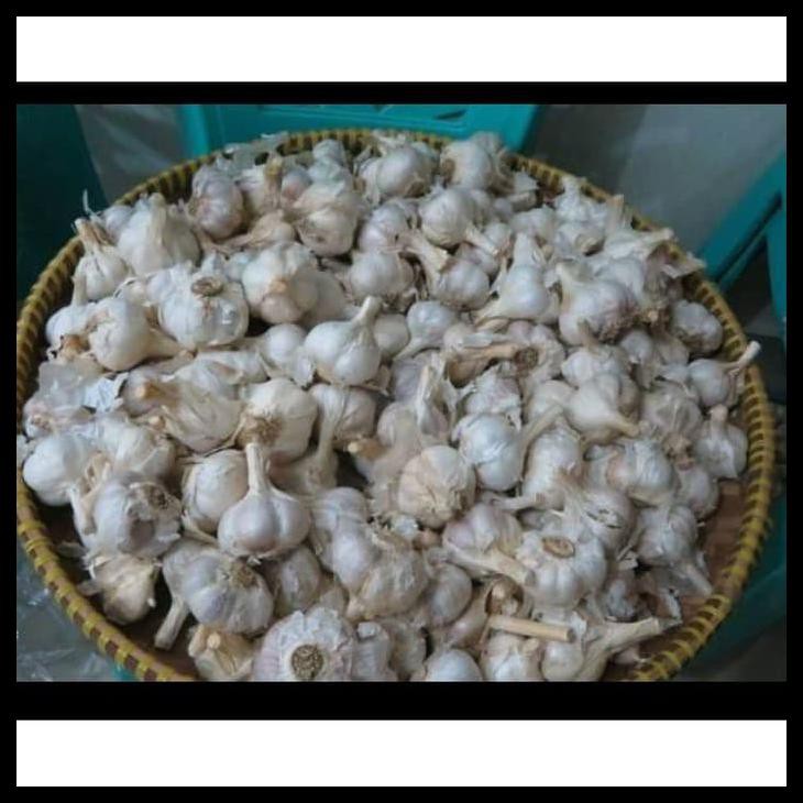 

BAWANG PUTIH KATING 1000 GRAM