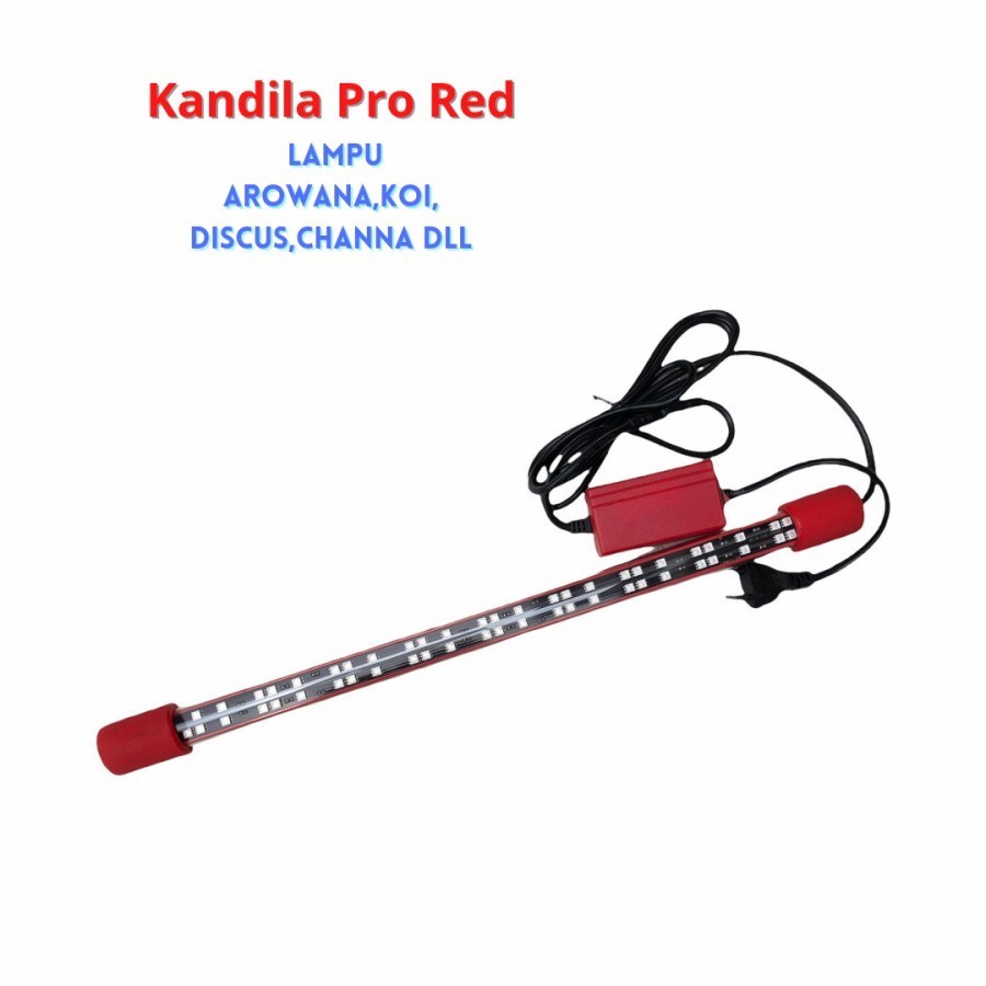 Jual LAMPU LED VIEW KANDILA PRO RED AQUARIUM IKAN AROWANA / ARWANA
