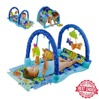 my ocean friends play gym